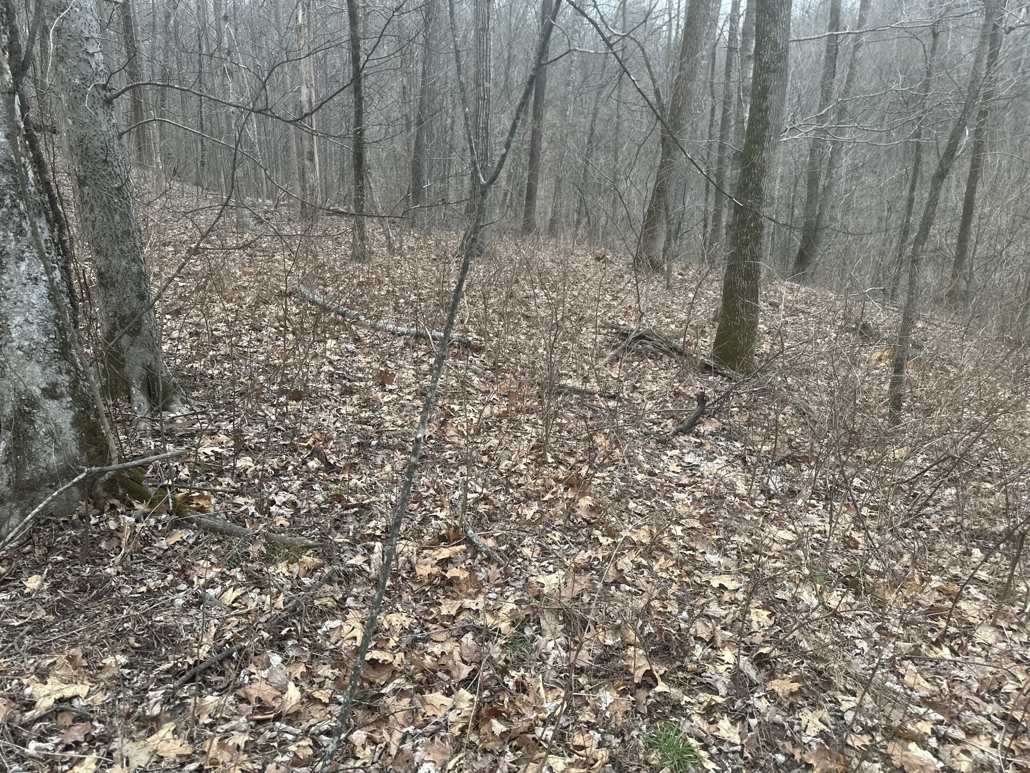 0 Patch Lane Bethpage, TN 37022 - Photo 6 of 6