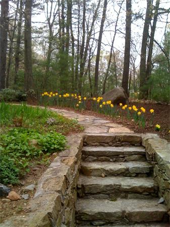 47 Gray Road Andover, MA 01810 - Photo 27 of 27