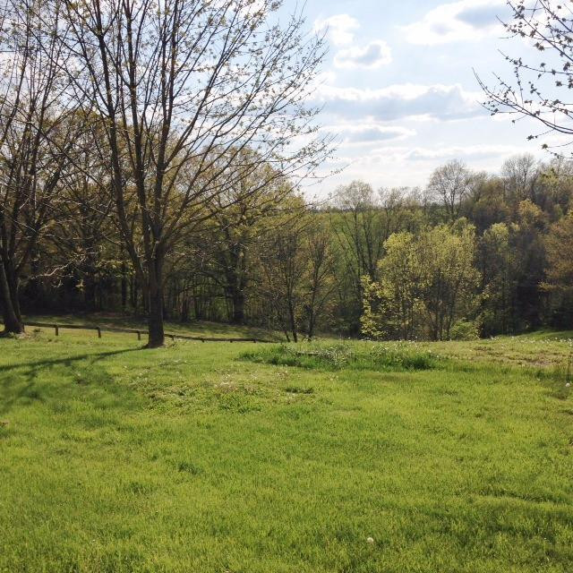 3115 Greenville Road Dry Ridge, KY 41035 - Photo 20 of 20