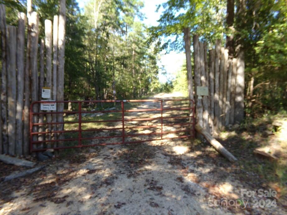 1016 True Road McConnells, SC 29726 - Photo 3 of 23 a view of yard with tree