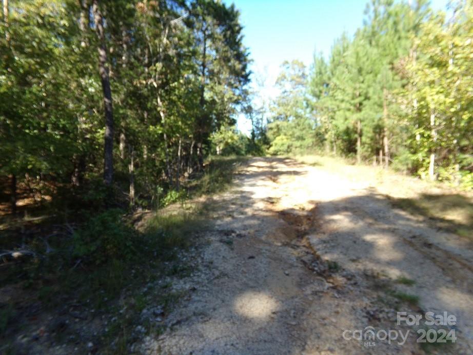 1016 True Road McConnells, SC 29726 - Photo 5 of 23 a view of a yard with plants and trees