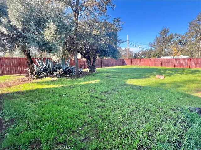 a view of a park with large trees