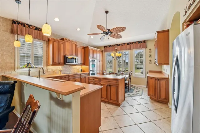 $480,000 | 8013 Pine Hollow Drive, Mount Dora, FL 32757