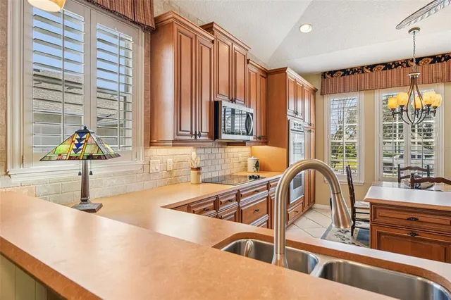 $480,000 | 8013 Pine Hollow Drive, Mount Dora, FL 32757