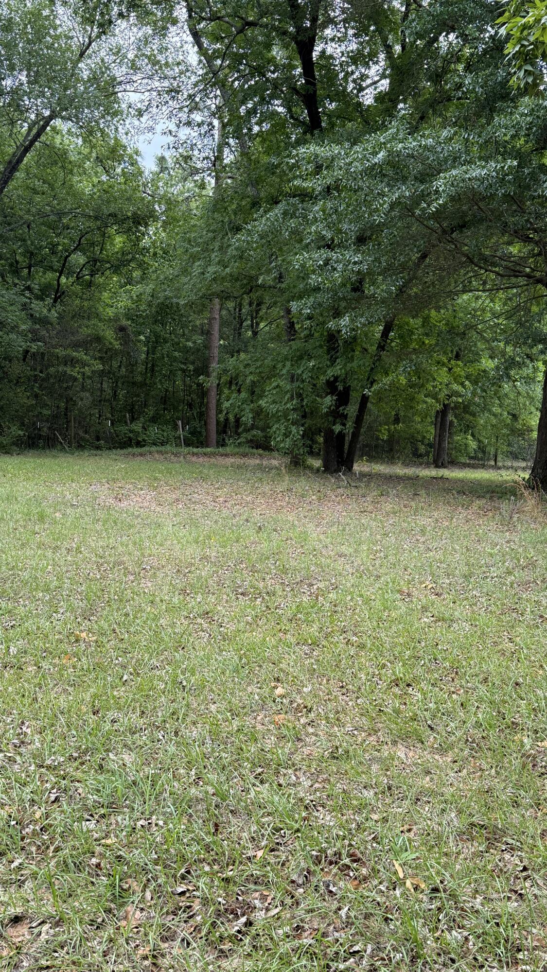 179 Granview Road Jackson, SC 29831 - Photo 23 of 27