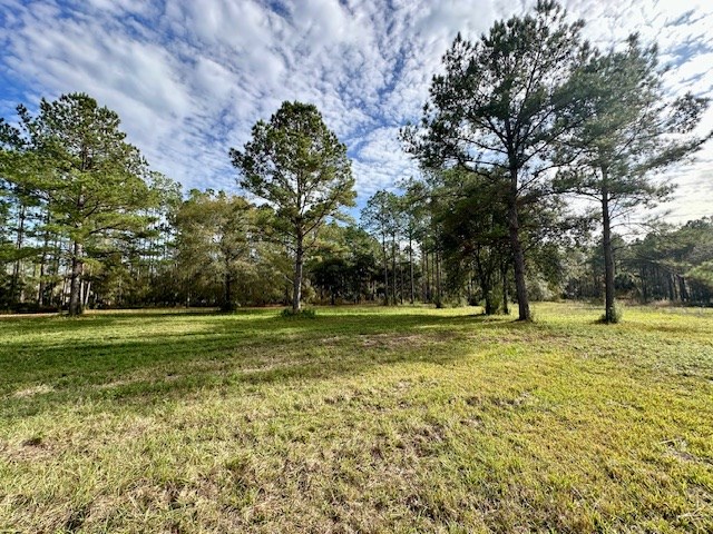 780 Hickory Hammock Road Carrabelle, FL 32322 - Photo 16 of 21 Gallery Image 16