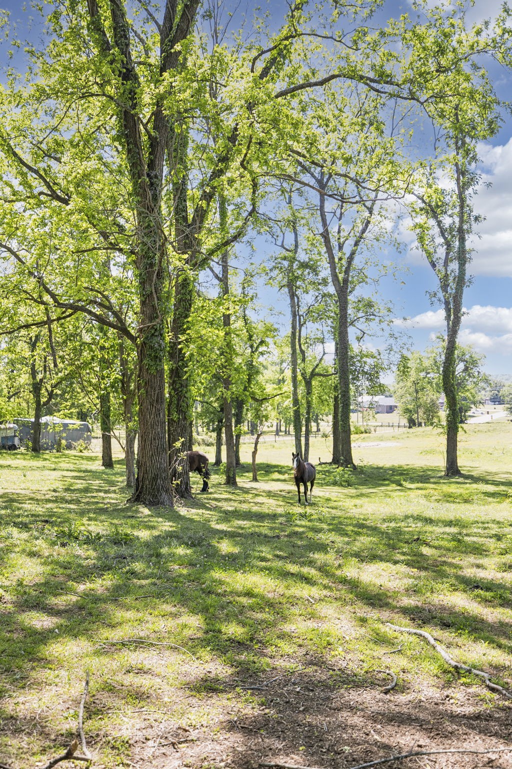 660 Allisona Road Eagleville, TN 37060 - Photo 65 of 87 Gallery Image 65