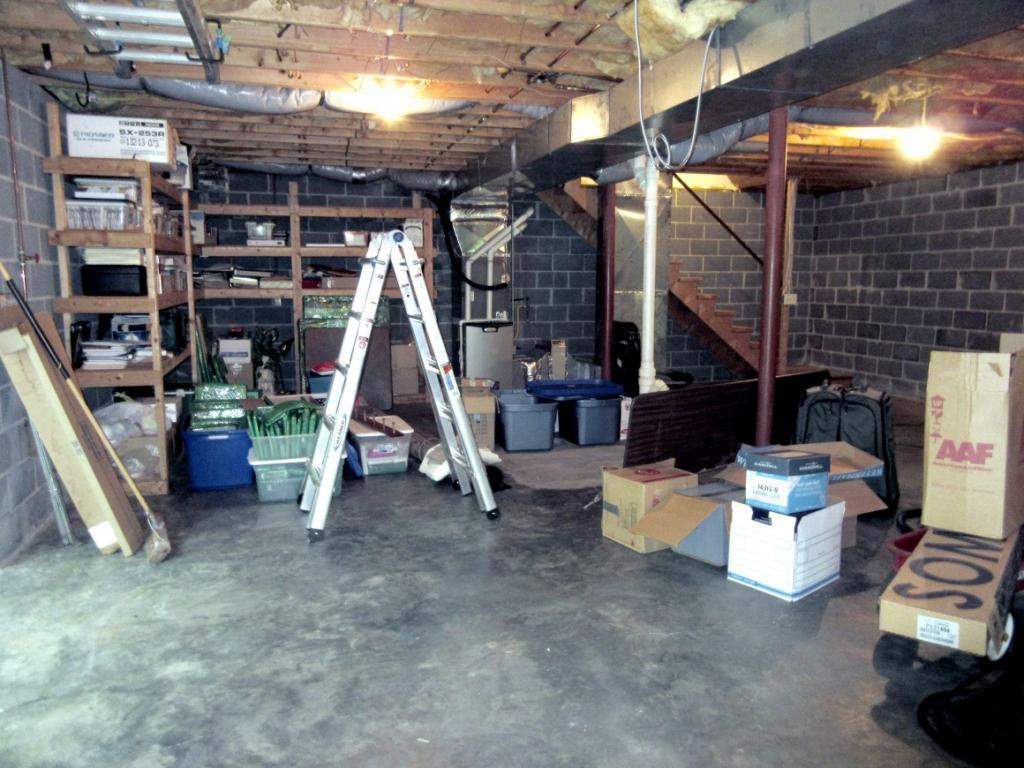 1608 Colonial Ridge Road Johnson City, TN 37604 - Photo 28 of 36 Unf Bsmt Storage Shelving