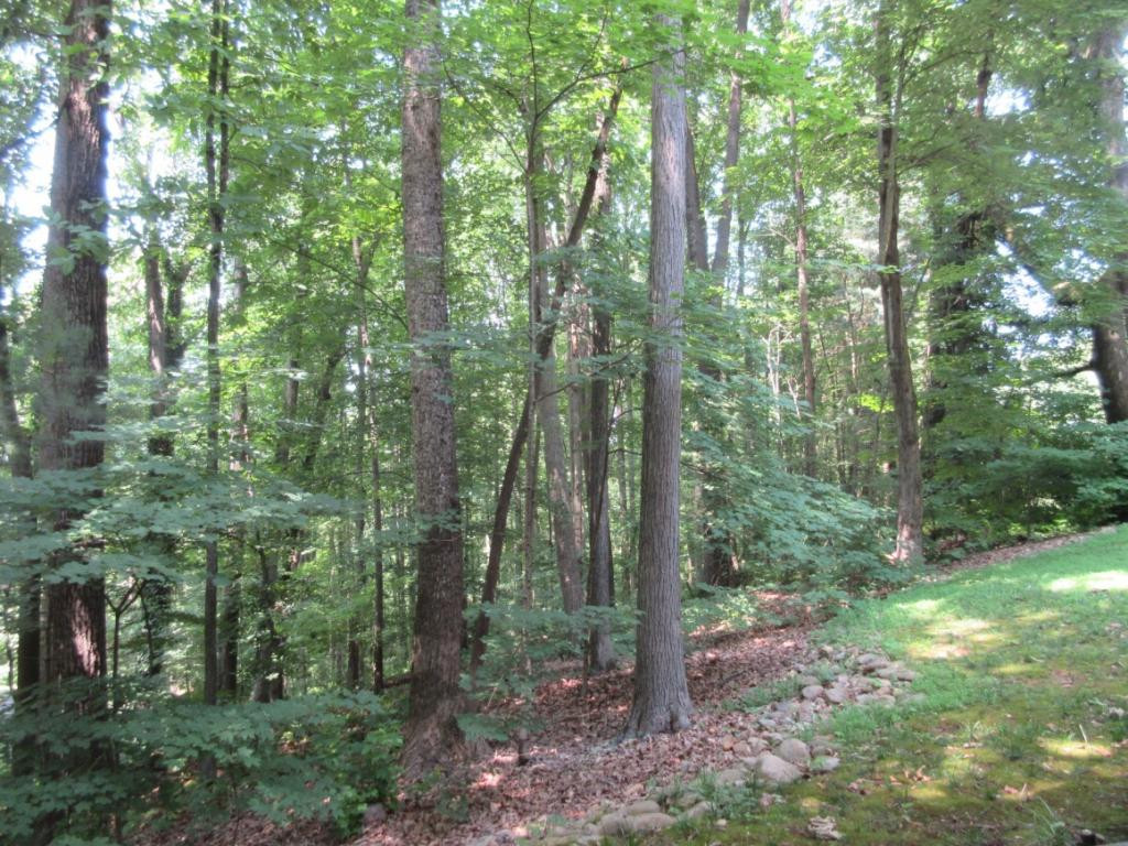 1608 Colonial Ridge Road Johnson City, TN 37604 - Photo 33 of 36 Wooded Backyard Privacy