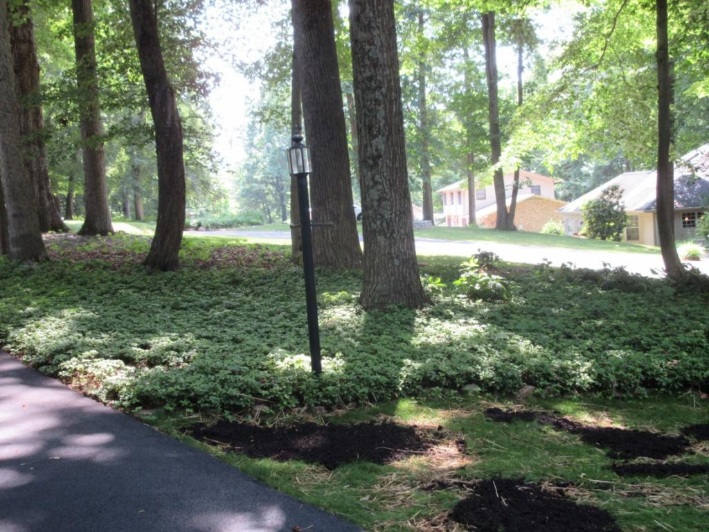 1608 Colonial Ridge Road Johnson City, TN 37604 - Photo 34 of 36 Ground Cover