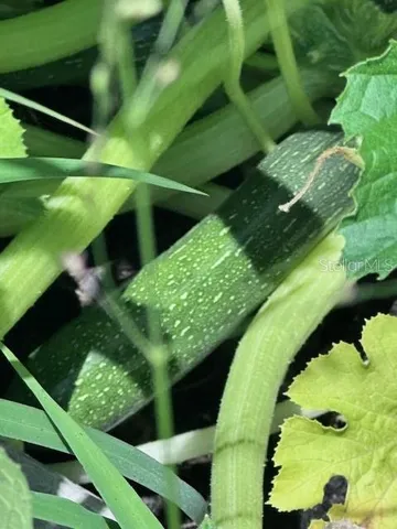a view of a deck with a table and chairs