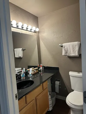 a bathroom with a sink a toilet a mirror and vanity