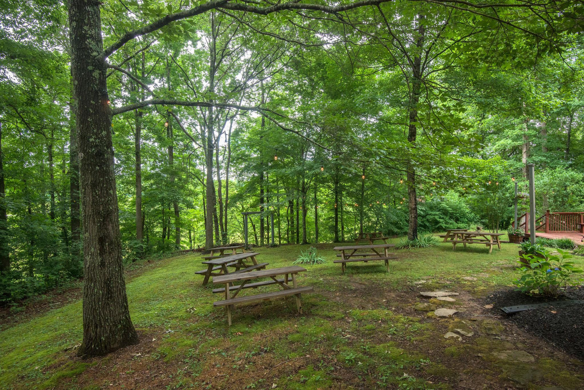959 East Piney Road Dickson, TN 37055 - Photo 27 of 30 Gallery Image 27