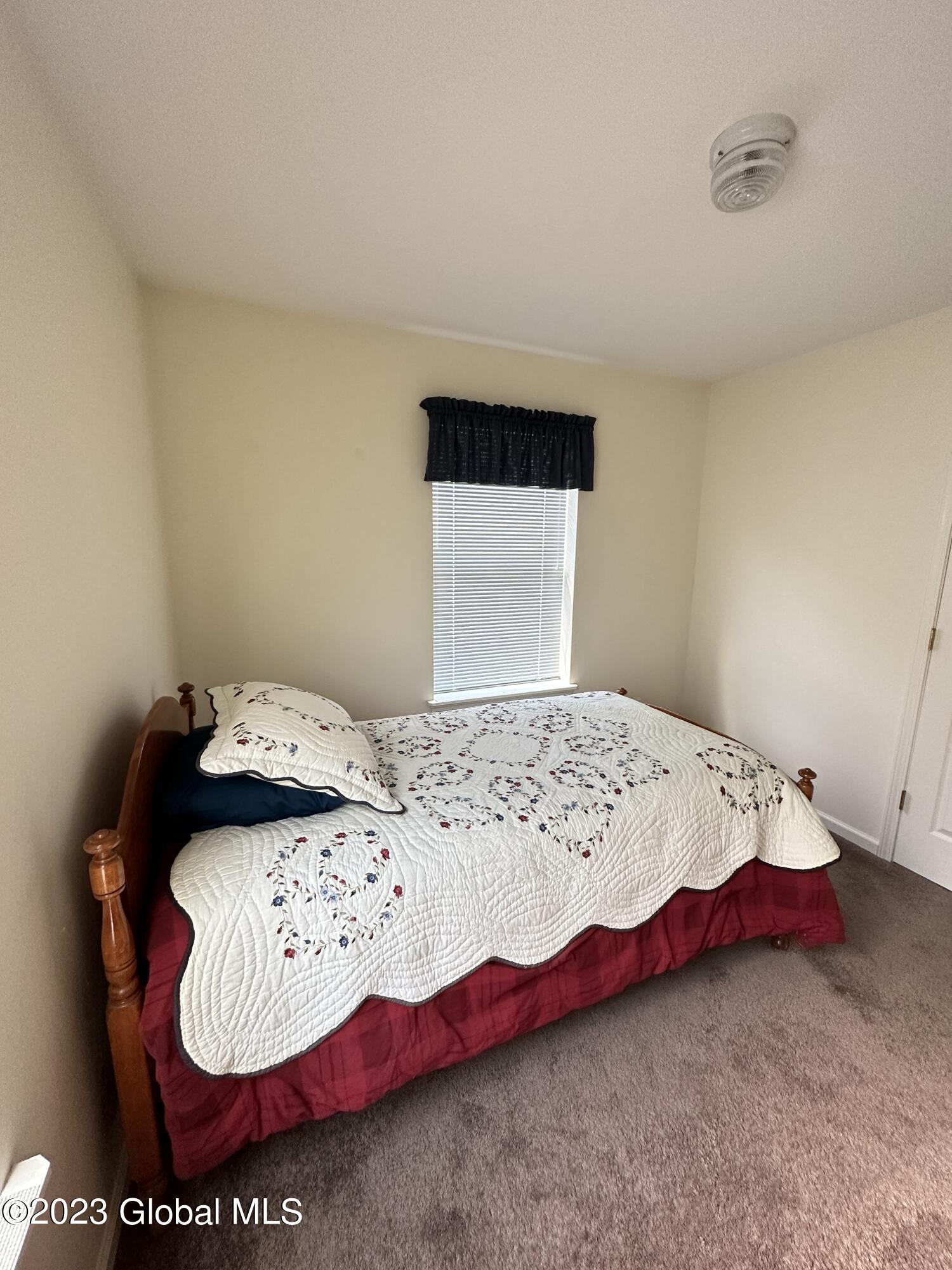 315 Consaul Road Colonie, NY 12309 - Photo 23 of 43 IMG_6749