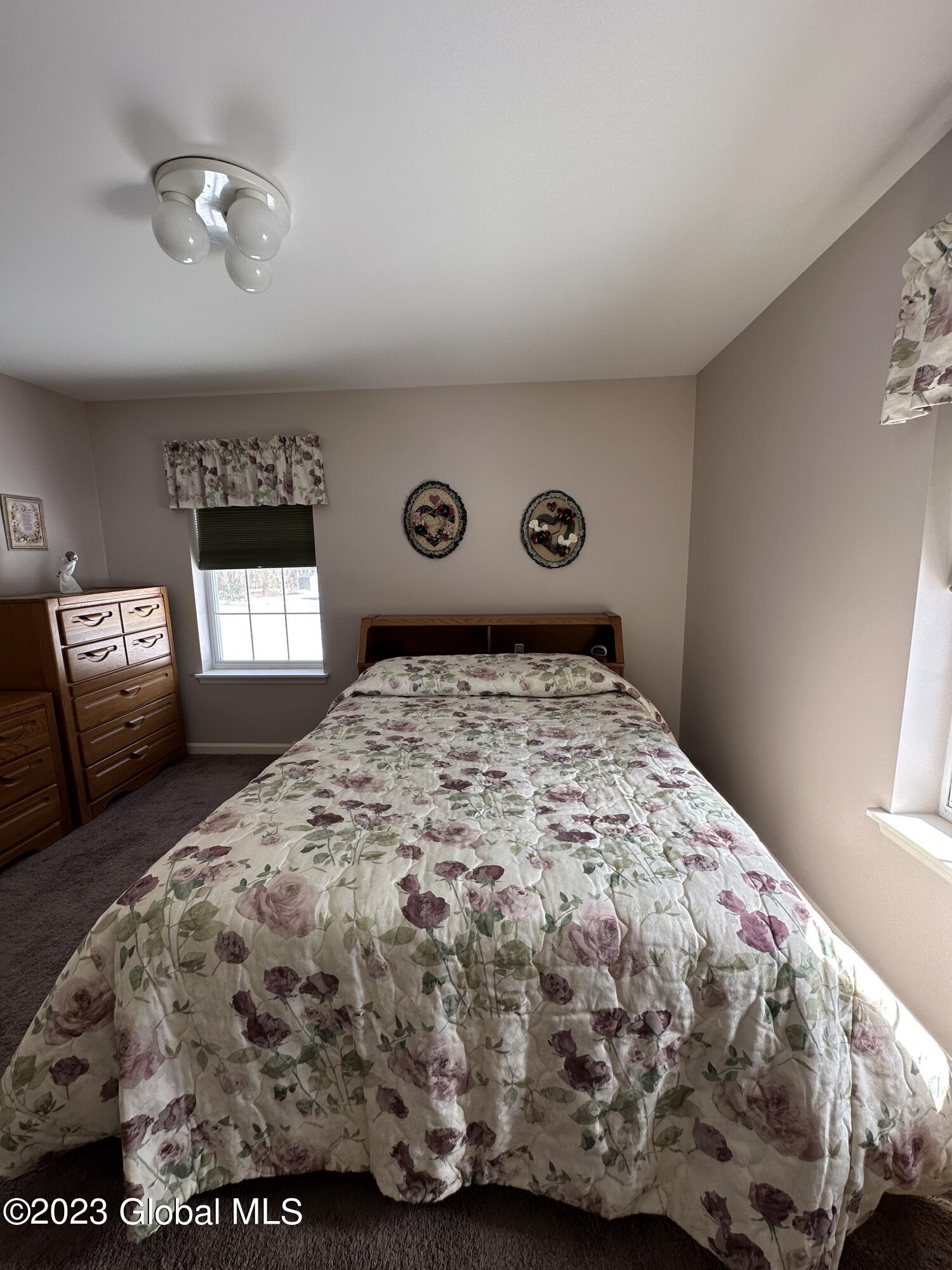 315 Consaul Road Colonie, NY 12309 - Photo 29 of 43 IMG_6762