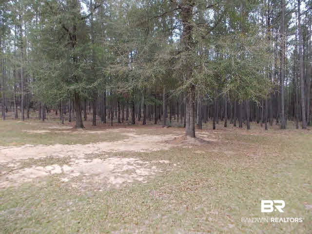 14930 Celeste Road Chunchula, AL 36521 - Photo 2 of 21