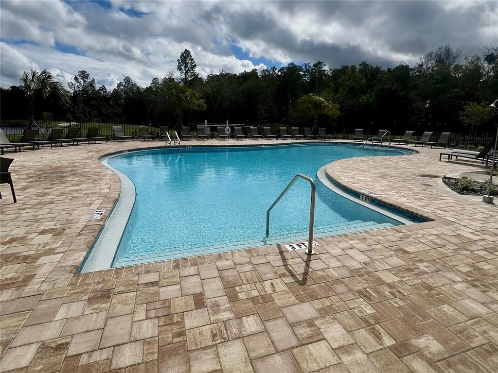 3099 Skyline Loop Kissimmee, FL 34758 - Photo 18 of 19