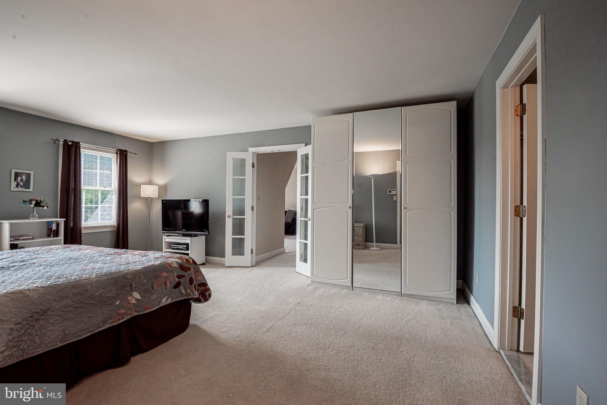 706 Regency Hill Road Hockessin, DE 19707 - Photo 30 of 54 a bedroom with a bed and a large mirror