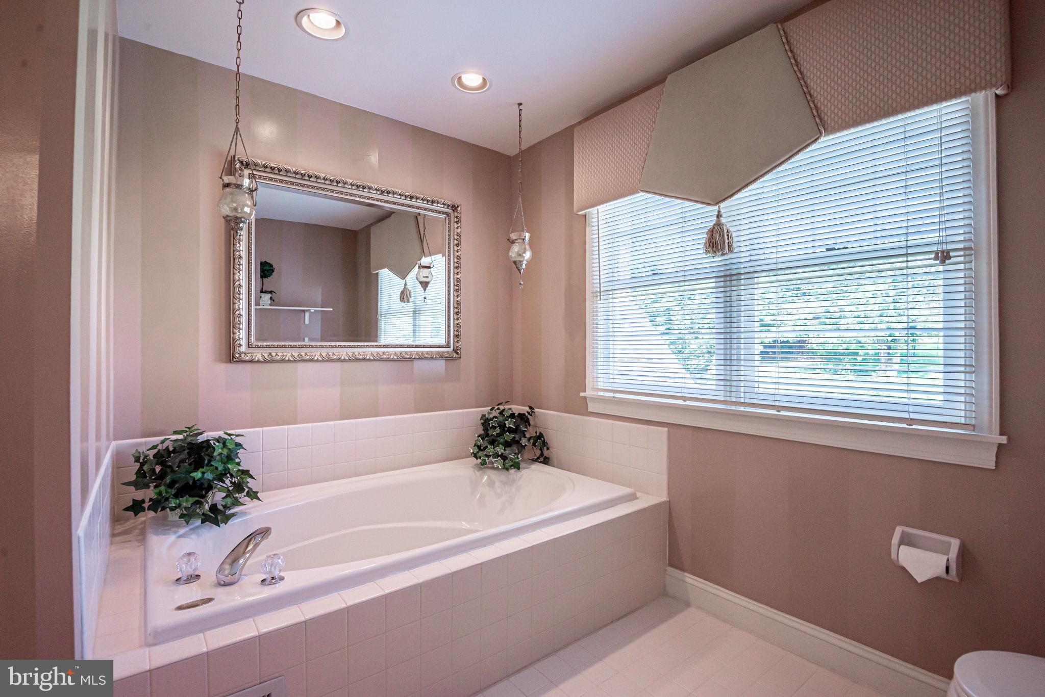 706 Regency Hill Road Hockessin, DE 19707 - Photo 34 of 54 a white bath tub sitting in a bathroom next to a window