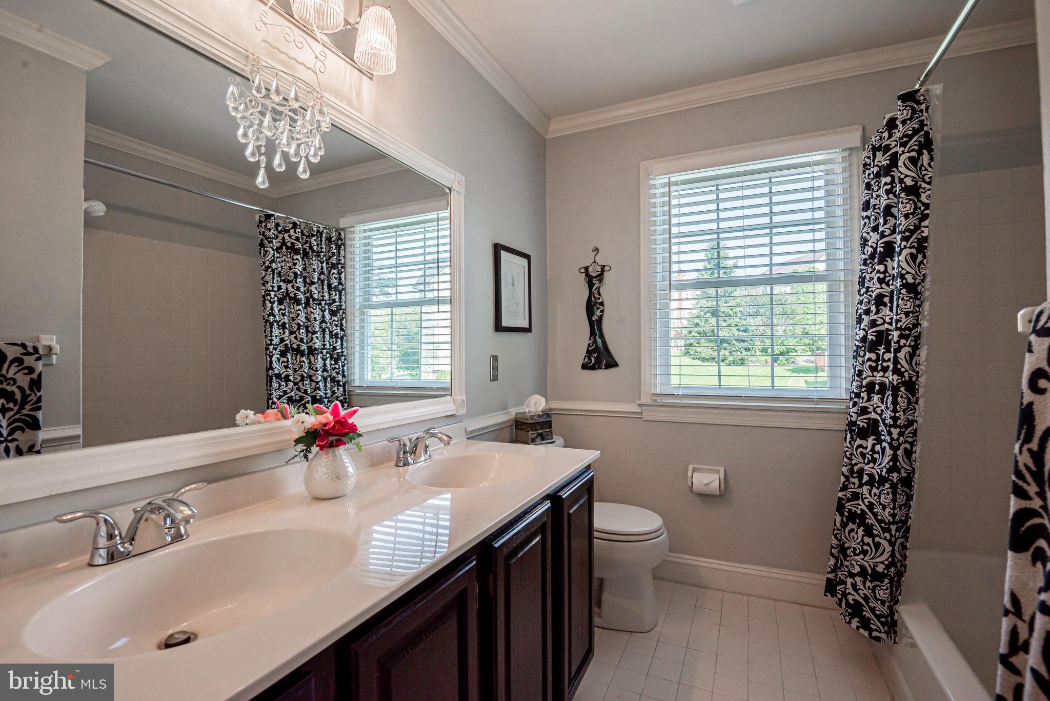706 Regency Hill Road Hockessin, DE 19707 - Photo 39 of 54 a bathroom with a sink a toilet and a large mirror