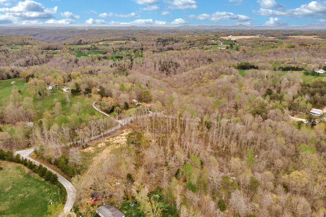 376 Ozone Road Monroe, TN 38573 - Photo 11 of 12 a view of city and mountain