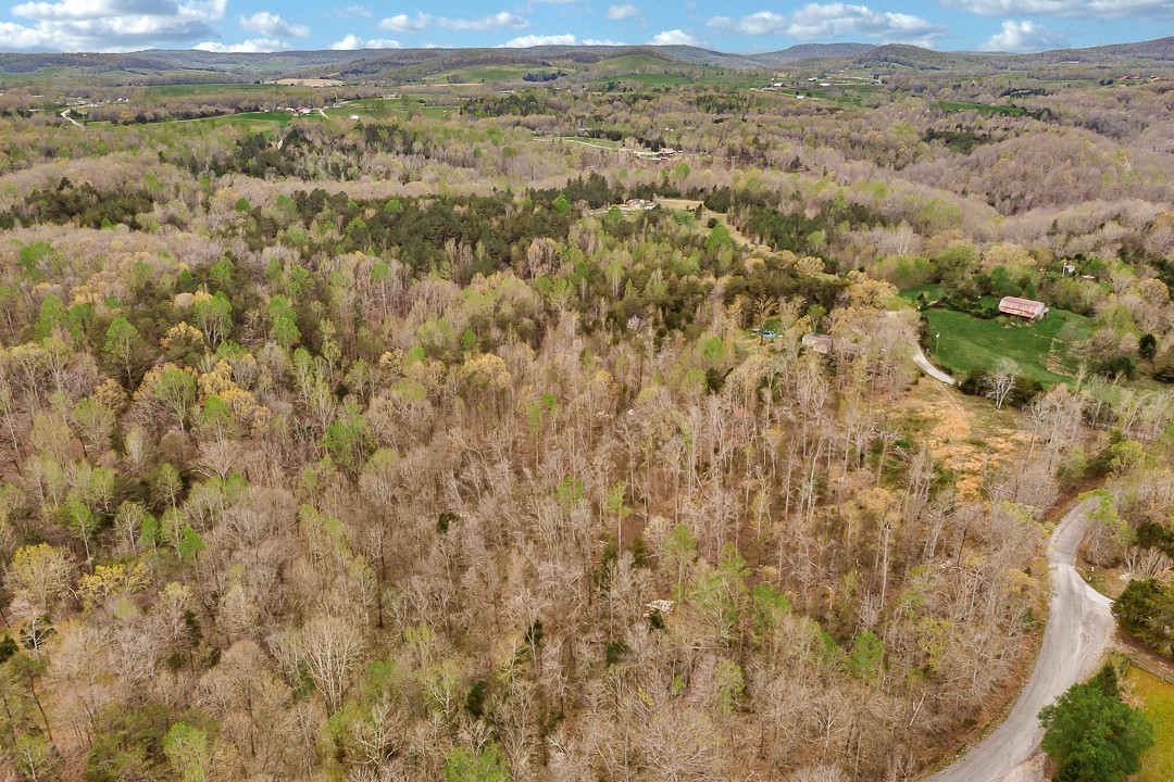 376 Ozone Road Monroe, TN 38573 - Photo 4 of 12 a view of city and mountain