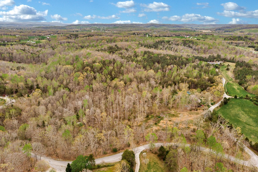 376 Ozone Road Monroe, TN 38573 - Photo 5 of 12 a view of a yard