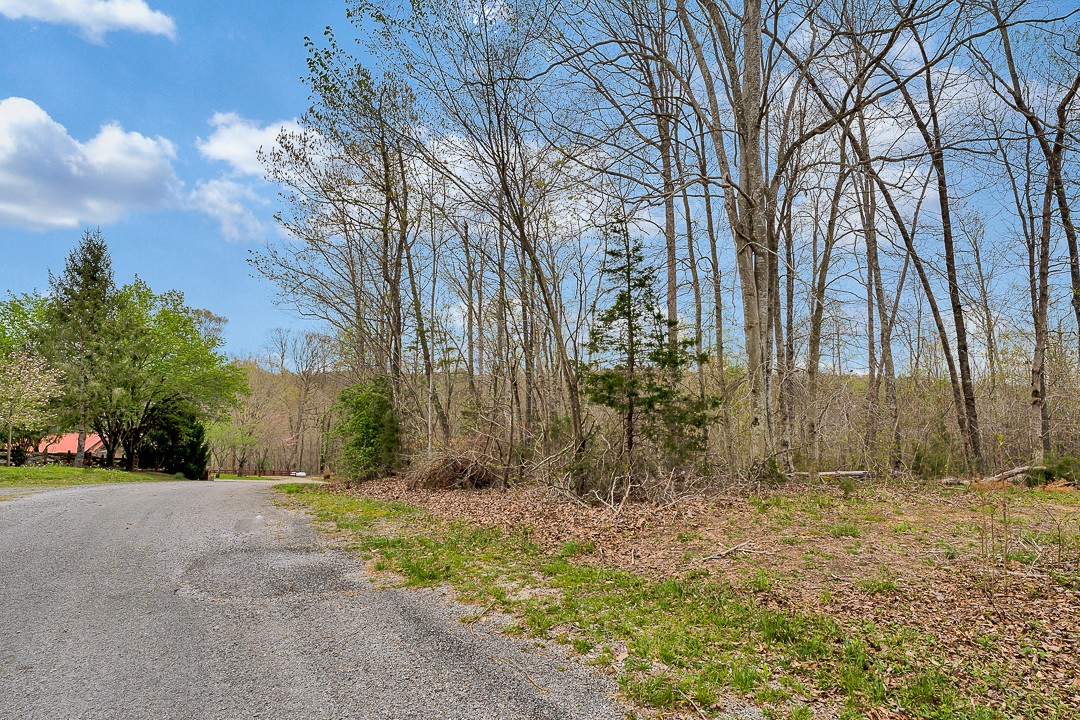 376 Ozone Road Monroe, TN 38573 - Photo 8 of 12 a view of backyard space