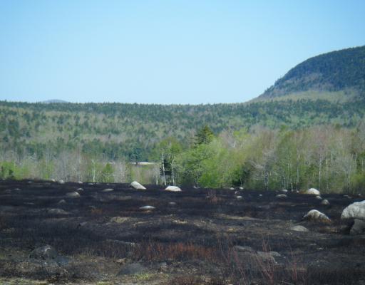 1067 Tunk Lake Road Sullivan, ME 04664 - Photo 5 of 5 View.