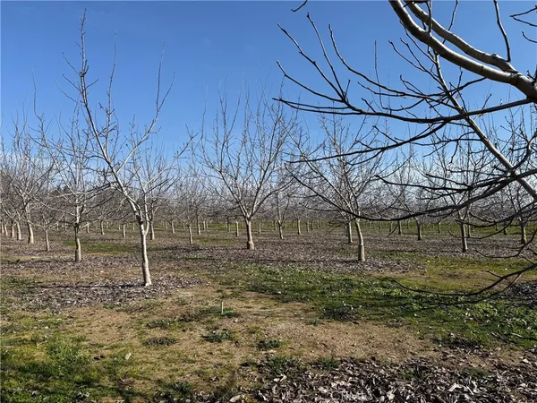 a view of a grassy area