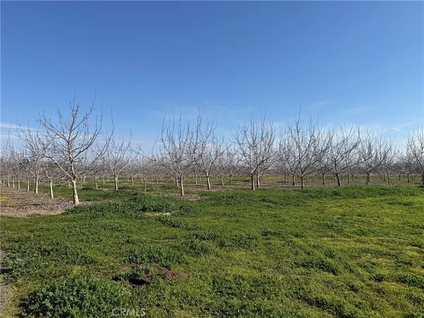 a view of outdoor space