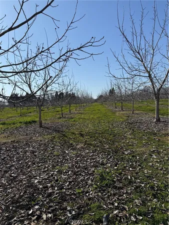 a view of a dry yard with wooden fence