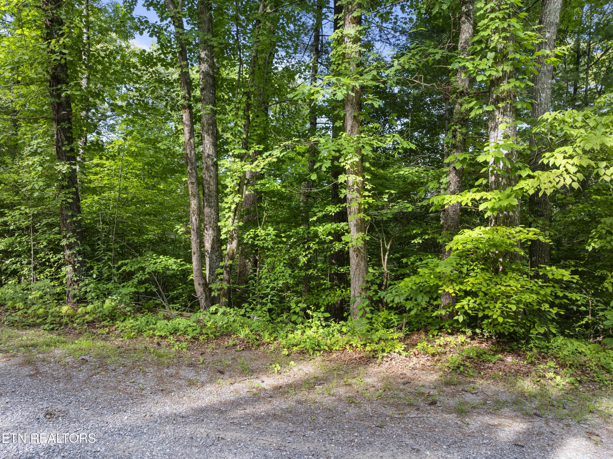 0 Grouse Top (lot 4) Road Walland, TN 37886 - Photo 3 of 10