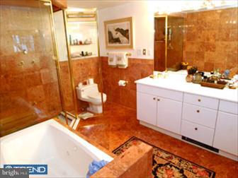 96 East Levering Mill Road Bala Cynwyd, PA 19004 - Photo 5 of 6 Bathroom