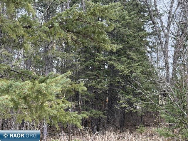 Tbd 5th Street Southeast Cook, MN 55723 - Photo 3 of 14