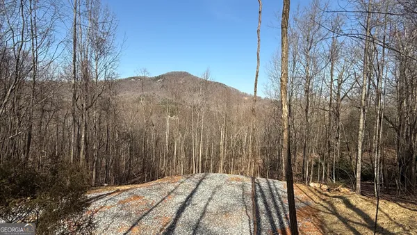 $75,400 | Lot 17 Chalet Drive, Sautee Nacoochee, GA 30571