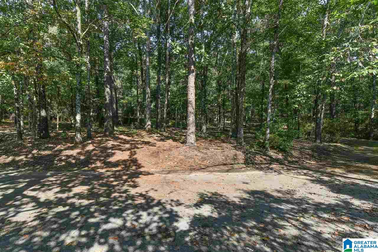 5325 Meadow Brook Road Birmingham, AL 35242 - Photo 3 of 41