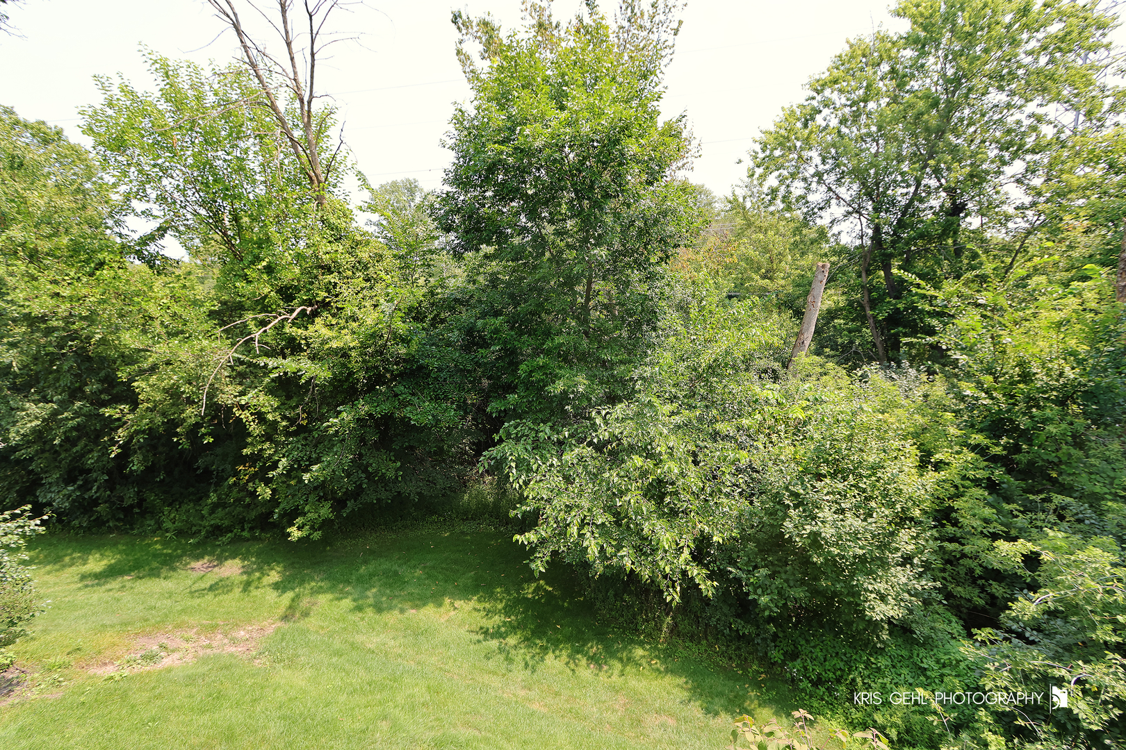 1277 Queen Ann Lane Gurnee, IL 60031 - Photo 23 of 25