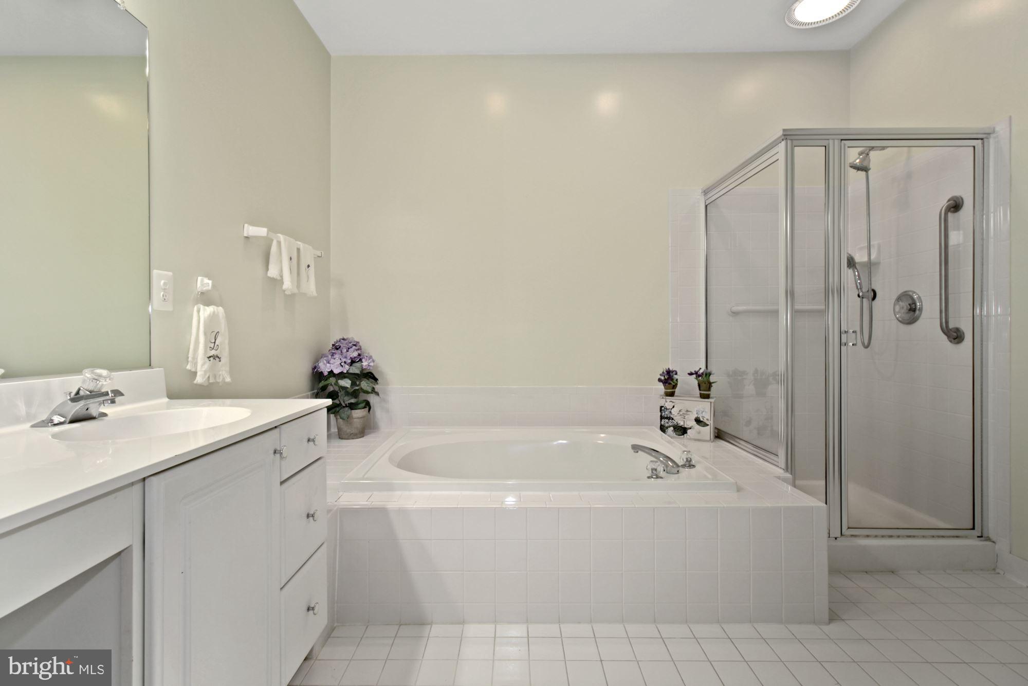 342 Colony Point Place Edgewater, MD 21037 - Photo 23 of 41 Primary Bathroom on Main Floor