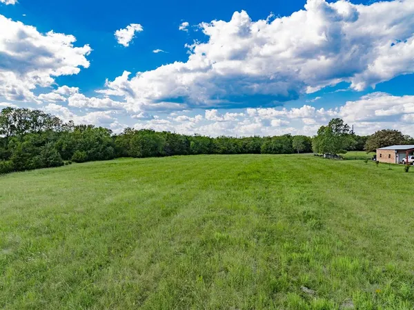 a view of a big yard with plants and large trees