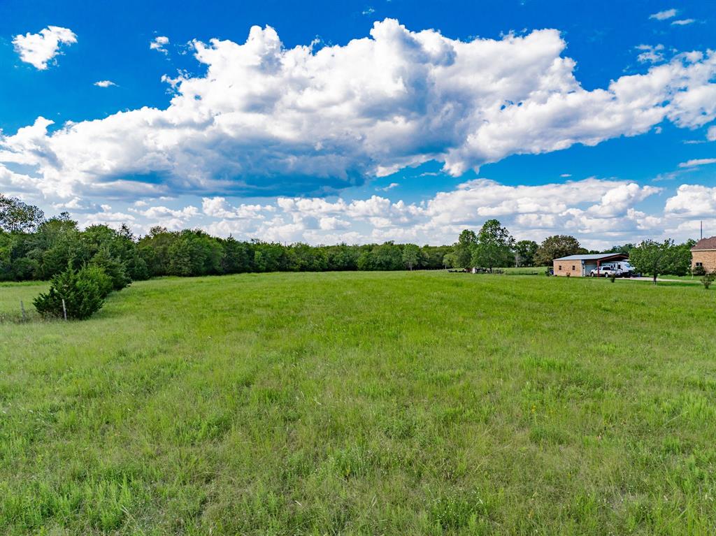 8 Thornhill Road Greenville, TX 75401 - Photo 12 of 17 a view of a big yard with plants and large trees