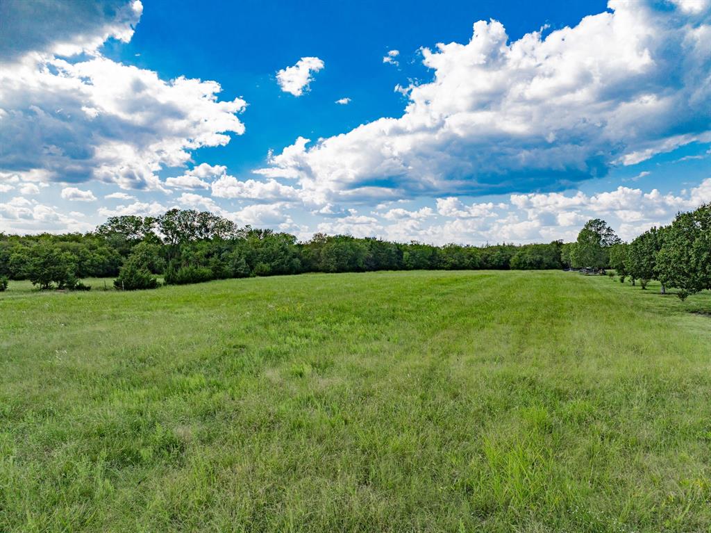 8 Thornhill Road Greenville, TX 75401 - Photo 13 of 17 a view of a big yard with potted plants and large trees