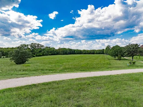 a view of a big yard with a large tree