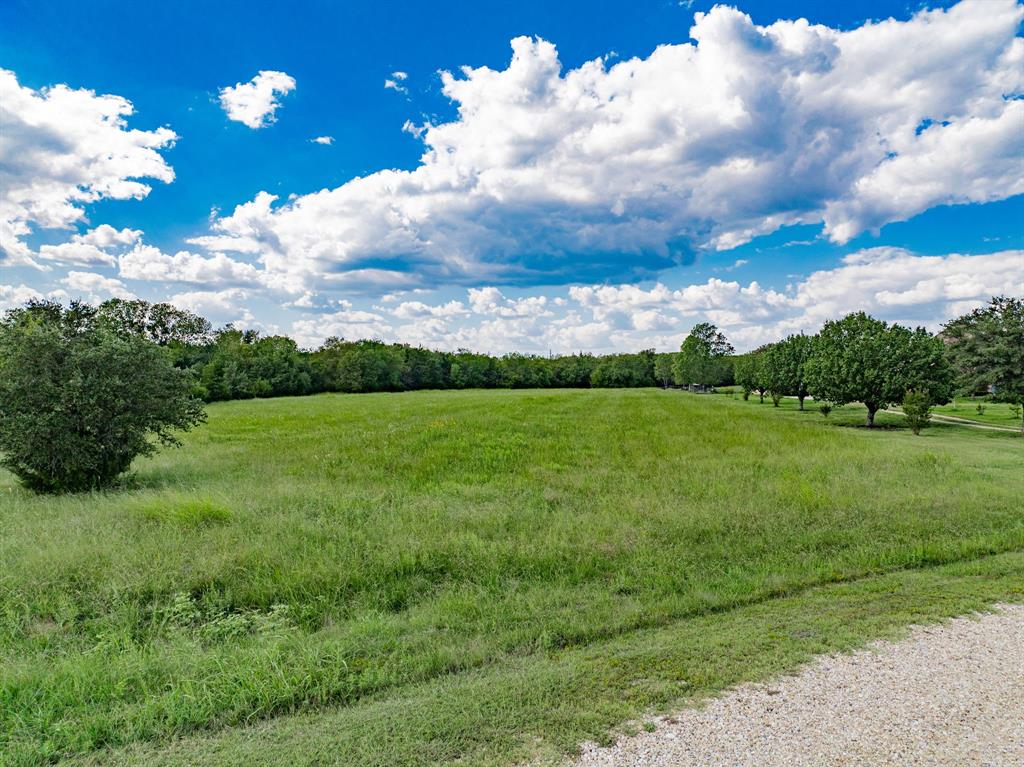 8 Thornhill Road Greenville, TX 75401 - Photo 15 of 17 a view of a big yard with dining table and plants