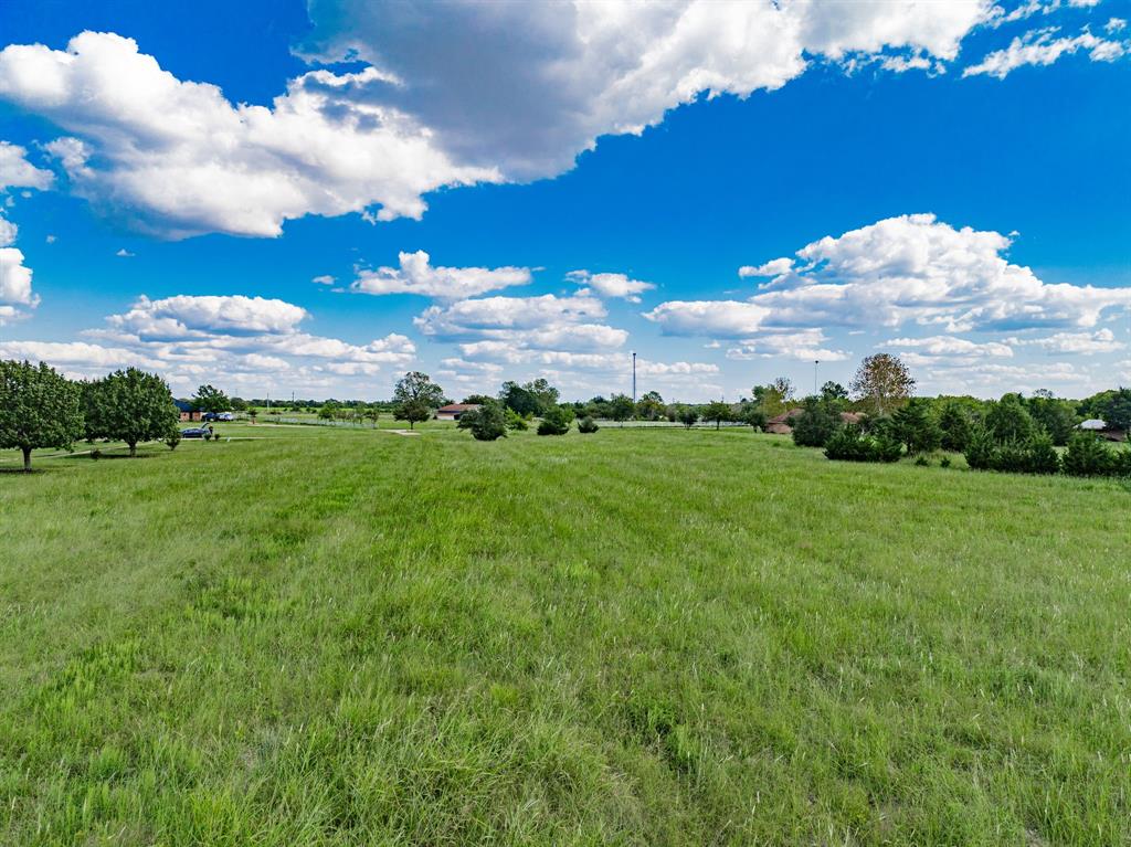 8 Thornhill Road Greenville, TX 75401 - Photo 10 of 17 a view of a big yard with large trees