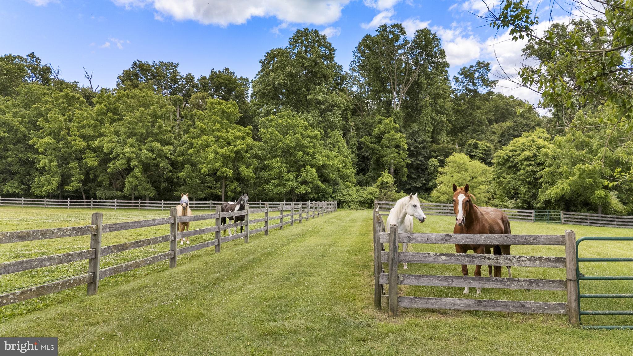 404 Indian Run Road Glenmoore, PA 19343 - Photo 33 of 61