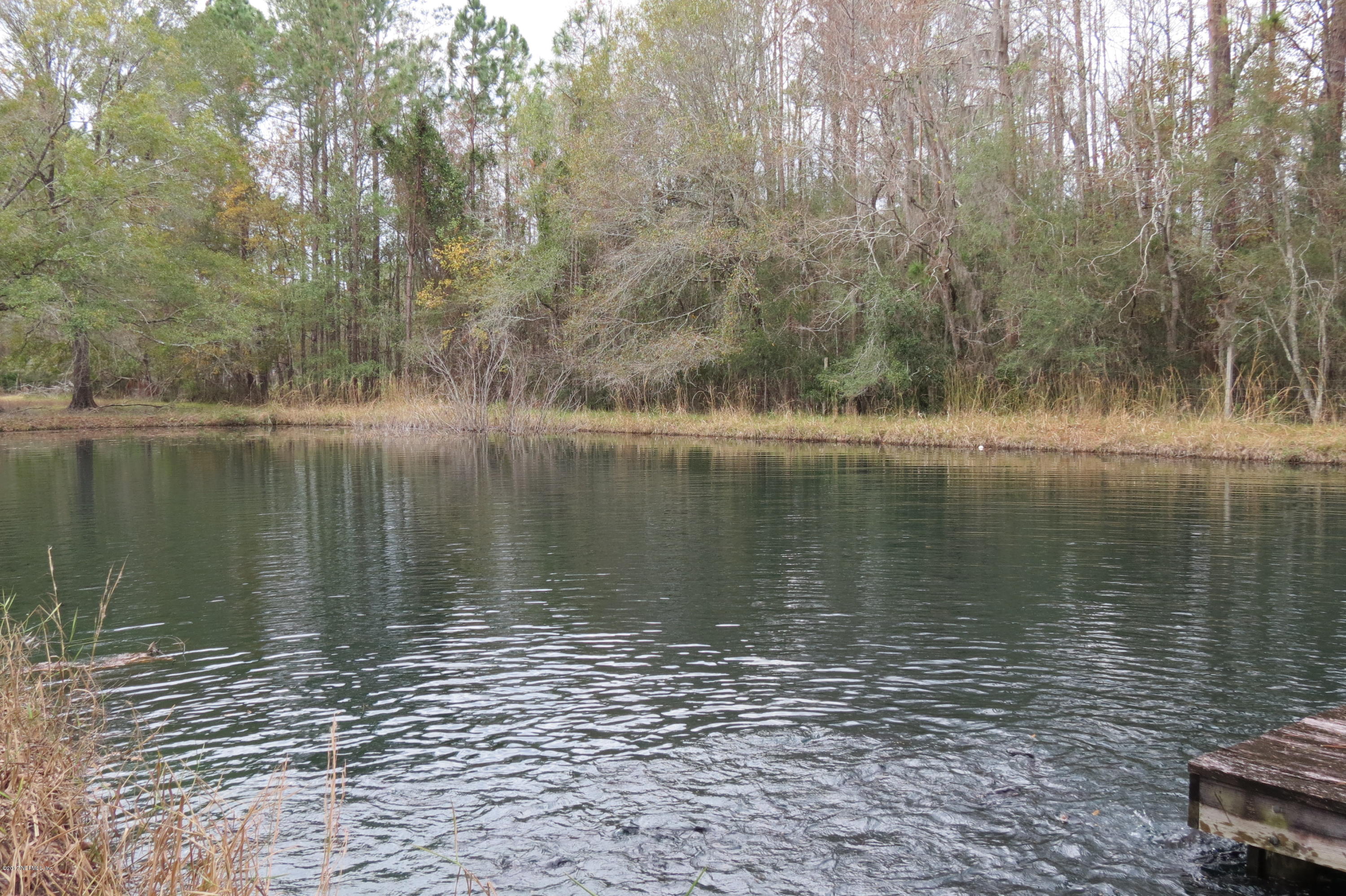 17015 Wells Road Jacksonville, FL 32234 - Photo 8 of 21 IMG_4176