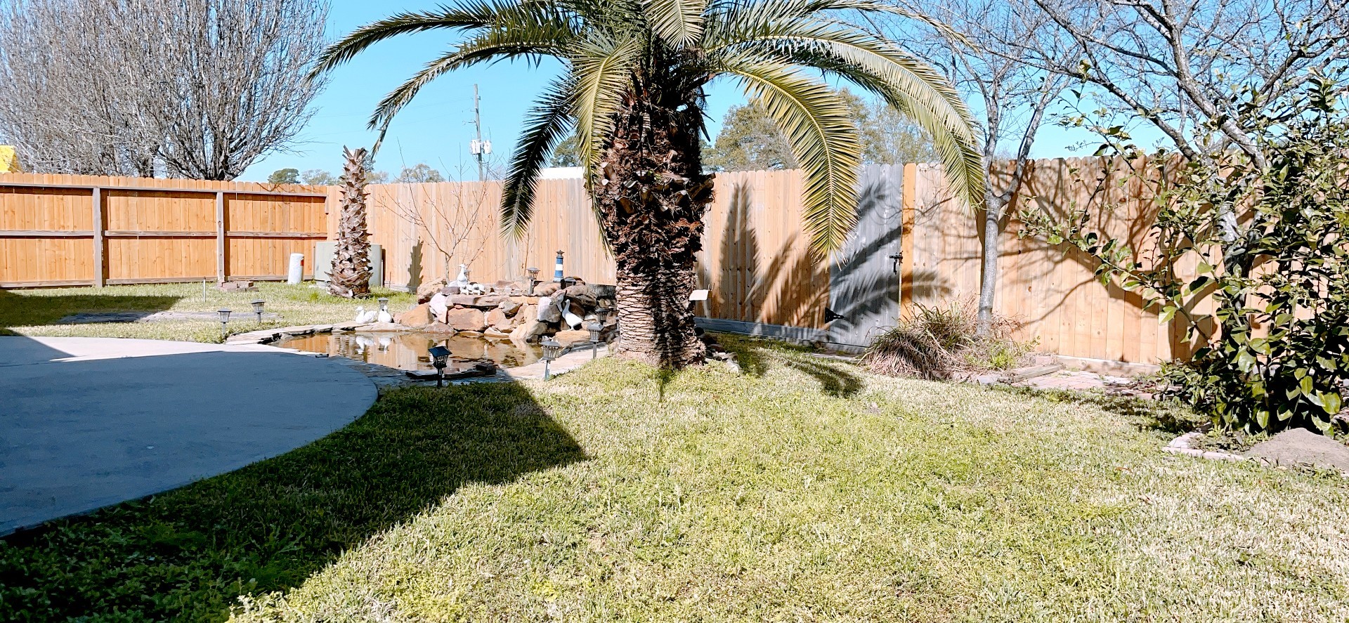 2910 Sandleigh Drive Spring, TX 77388 - Photo 24 of 25