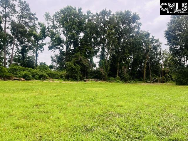 1161 Tom Moore Road Leesville, SC 29070 - Photo 2 of 8