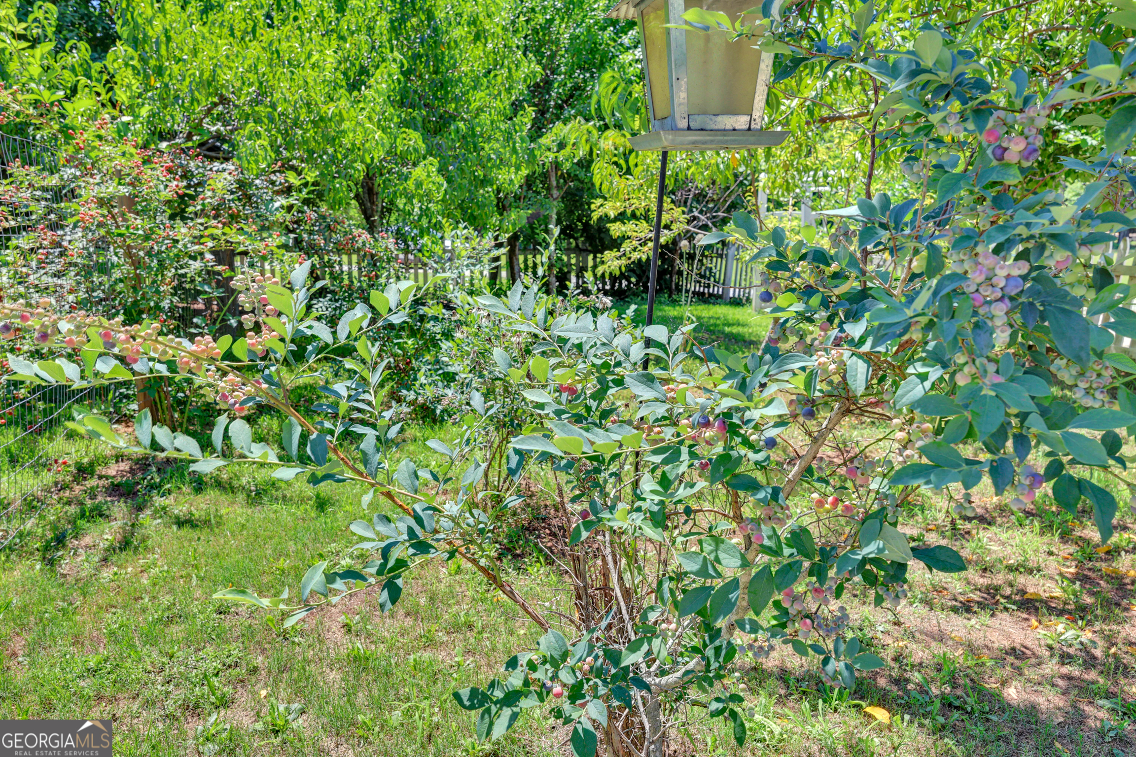 1700 Aqua Road Madison, GA 30650 - Photo 46 of 51